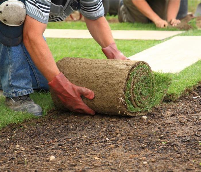 Image of a person placing grass on their yard